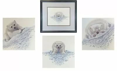 £62.50 • Buy Gorgeous - Set Of 3 Polar Bear Prints, Glazed & Framed Signed By Warwick Higgs