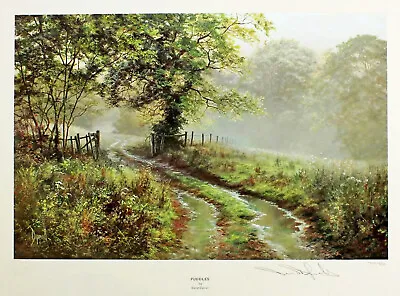 David Dipnall  Puddles  Signed Limited Edition English Countryside Green Print • £39.99