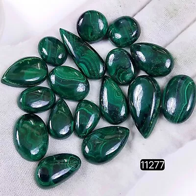 17Pc 299Ct  Malachite Back Unpolished Cabochon Gemstone Lot 30x12-16x12mm #11277 • $18.68