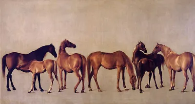 Horses Mares Foals Equine Animal 1762 Painting By George Stubbs Reproduction • $14.28