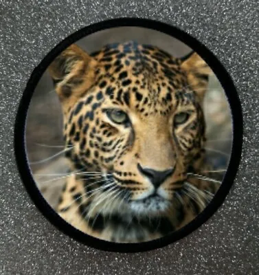 3  Panther Sublimation Iron / Sew On Patch Badge Animal Jungle Predator  • £4.95