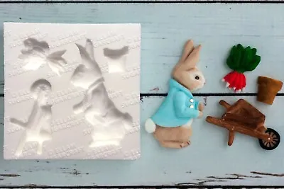 £10 • Buy Silicone Mould Peter Rabbit  Inspired Wheelbarrow Bunny Easter, Christening M168