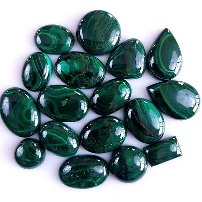 17Pcs 340Cts Malachite Back Unpolished Cabochon Gemstone Lot 18x13 10x10 #9336 • $13.59