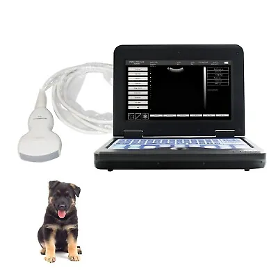 £1112 • Buy Portable VET Veterinary Ultrasound Scanner Laptop Machine +Convex Probe Dog/Cat