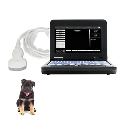 Portable VET Veterinary Ultrasound Scanner Laptop Machine +Convex Probe Dog/Cat • £1112