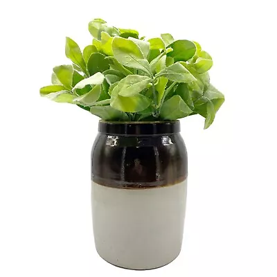 Vintage Two-toned Stone Crock Brown Cream Large With Faux Lamb’s Ear Greenery • $34.95