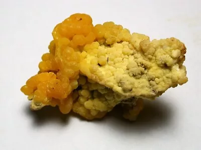 Minerals : Botryoidal Mimetite On All Sides From San Pedro Carralitos Mexico • $39.50