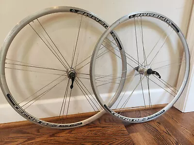 Gipiemme Tecno 024 Race Team Wheelset 700c Clincher Wheels Shimano Freehub Silvr • $149.95