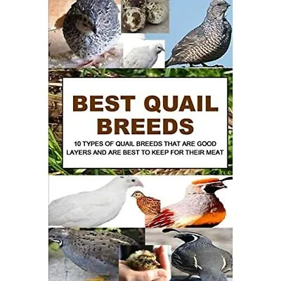 Best Quail Breeds: 10 Types Of Quail Breeds That� Are G - Paperback NEW Otieno • £9.64