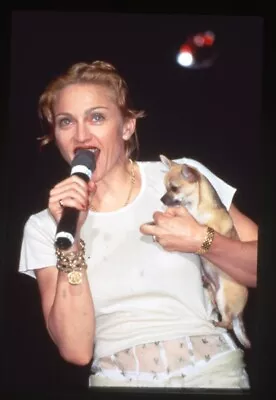 Madonna Singing In Concert Holding Chihuahua Photo Agency 35mm Transparency • $24.99