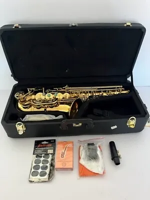 Yanagisawa AWO Alto Saxophone [DAMAGED] • £1995
