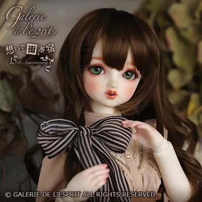 VOLKS Super Dollfie SD Lieselotte 2021 Autumn Winter Ver. Dollfie Dream From JPN • $2169