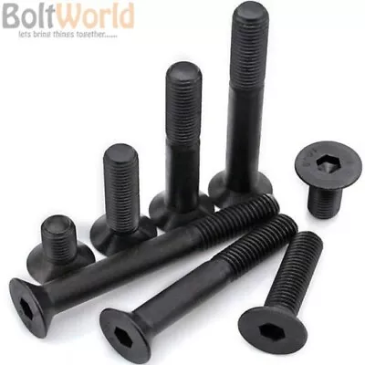£3.36 • Buy M10 / 10mm HIGH TENSILE COUNTERSUNK FLAT ALLEN BOLTS SELF COLOUR SOCKET SCREWS