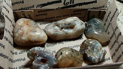 Polished Mixed Agate -   All Natural Color Agate From NW USA  #611 • $24.50