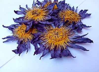 $6.99 • Buy BLUE LOTUS Nymphaea Caerulea Hand Picked Dried Flower 100%Organic Natural Tea ++