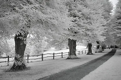 £99.99 • Buy Nikon  D70 Infrared 720nm Infrared Converted Camera.