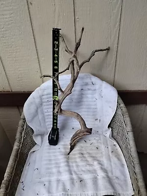 #Z  Manzanita Bird Branch Driftwood  Perch Reptile Decor • $36