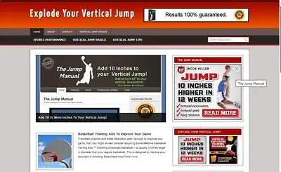 Make Money Vertical Jump Niche Website +Free Installation Plus Hosting • $12