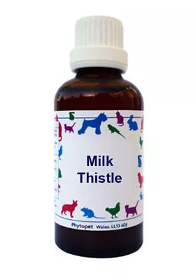 Phytopet Herbal Remedies Milk Thistle Tincture 30ml Dog Cat Liver Support • £10.75