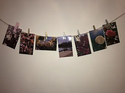 7 Mini Photography Prints Bedroom & House Decor On Mini Pegs And String • £5