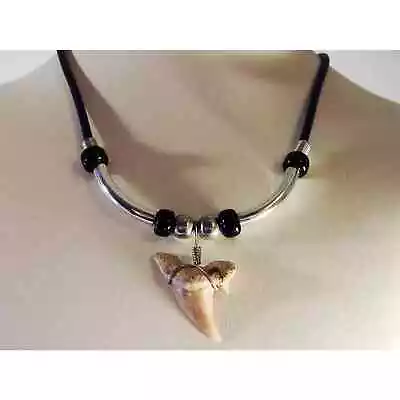 Mens Corded Shark Tooth Pendant Necklace  Shark Tooth Fossil   18 Inch • $14