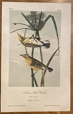 John James Audubon PRAIRIE WOOD WARBLER Lith. Printed & Col. By J.T. Bowen 1839 • $130