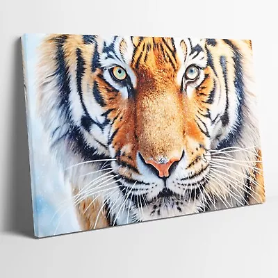 Bengal Tiger Animal Stretched Canvas Or Unframed Poster Wall Art More Sizes • £17.99