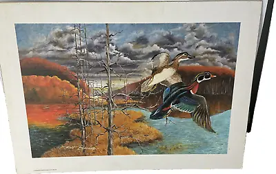 Walt Boscamp Flying Ducks  Art Print Board 20 X 14 Lodge Cabin Mancave  Vintage • $15