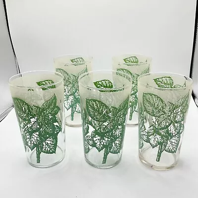 Vintage Green Leaves Frosted Top Clear 16 Oz. Tall Beverage Glasses Set Of 5 • $51.97