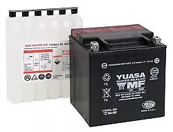 Yuasa Battery Maintenance Free AGM High Performance YIX30L-BS OEM# 515176151 • $134.43