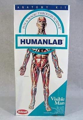 Skilcraft Human Lab Anatomy Visible Man Plastic Model Kit New! • $19.99