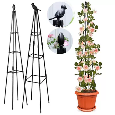 Outdoor Garden Metal Obelisk Climbing Plant Support Frame Trellis Flowers Stalk • £8.45