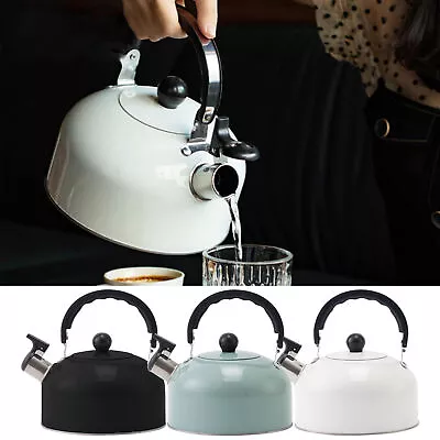  Whistling Kettle 3L Tea Kettle Home Stainless Steel Teapot Boiled Coffee Kettle • $55.39