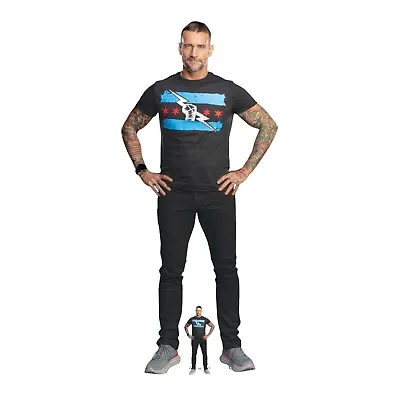 CM Punk WWE Lifesize Cardboard Cutout With Free Mini Standee  - Wrestler Actor • £39.99