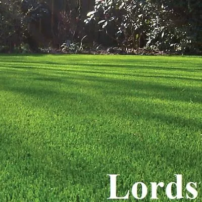 £0.99 • Buy Cheap Luxury Artificial Grass 25mm Soft & Realistic Fake Garden Lawn Astro Turf