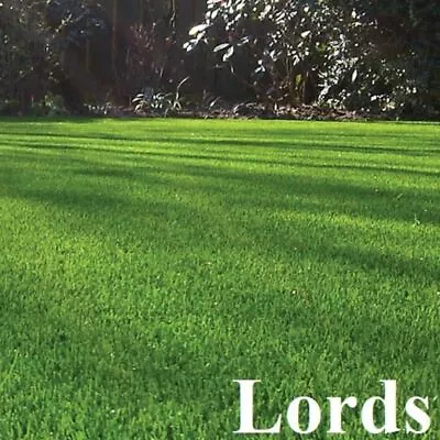 £27.95 • Buy Cheap Luxury Artificial Grass 25mm Soft & Realistic Fake Garden Lawn Astro Turf