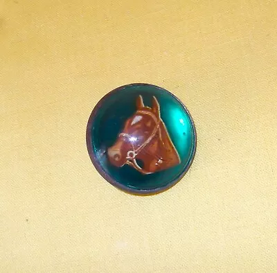 Vintage Horse Glass Dome Bridle Button Rosette • $11.99