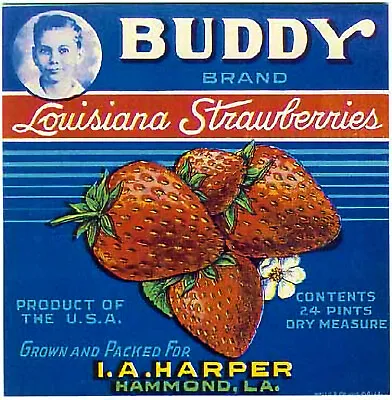 Hammond Louisina Original Buddy Brand Strawberry Fruit Crate Label 1970 VTG • $14.88