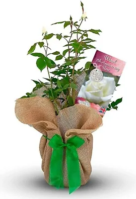 £27.99 • Buy Wool Wedding Gift Rose - 7th Anniversary Gift - Gift Wrapped With Huge Bow