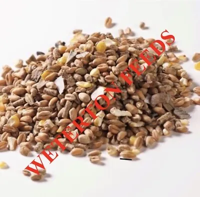 20Kg Poultry Mix Of Layers Pellets Mixed Corn For Laying Chickens GM FREE MAIZE • £15.99