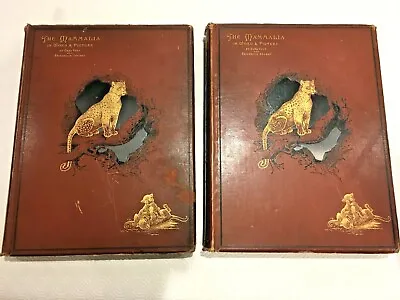£175 • Buy The Mammalia In Word & Picture Volume 1 & 2 - Rare Complete Book Set (1887/1888)
