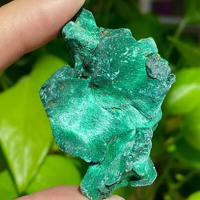 48G  Natural Green Malachite Crystal Fiber Cluster Rough Mineral Sample • $1.25