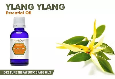 Ylang Ylang Essential Oil 100% Pure Natural Aromatherapy Therapeutic Grade Oils  • £3.23