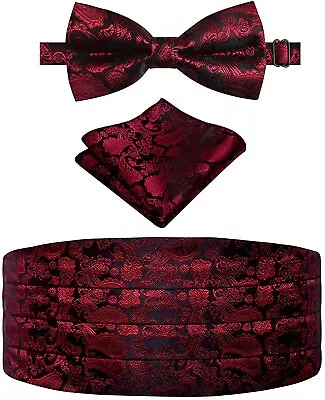 Alizeal Mens 3pc Classic Paisley Bow Tie And Cummerbund Set • $47.61