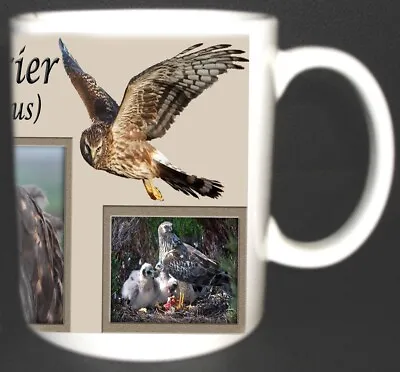 £10.99 • Buy HEN HARRIER  BIRD OF PREY COFFEE / TEA MUG LIMITED EDITION GIFT  Circus Cyaneus