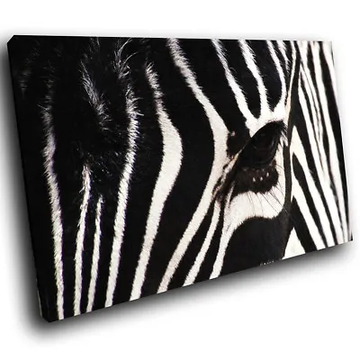 A058 Black White Zebra Stripes Funky Animal Canvas Wall Art Large Picture Prints • £14.99