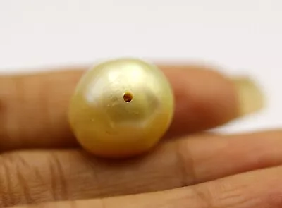Lustrous Golden BIG SIZE Natural South Sea Half Drilled Pearl Gemstone 23.01 Cts • £259.68