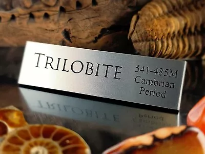 Trilobite Fossil Display Name Plate - Exhibit Artifact Label-museum Quality • $9.99