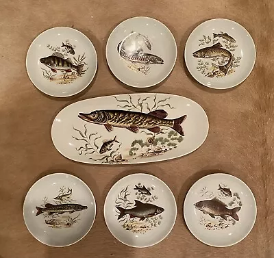 Naaman Israel Porcelain Fish Platter W/Set Of 12 - 6 1/2  Fish Plates • $175