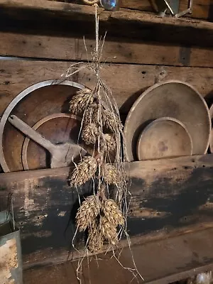 Primitive Dried Magnolia Pod Hanging Garland-Great Early Look • $12.99